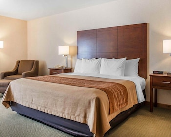 Room, 1 King Bed, Accessible, Non Smoking