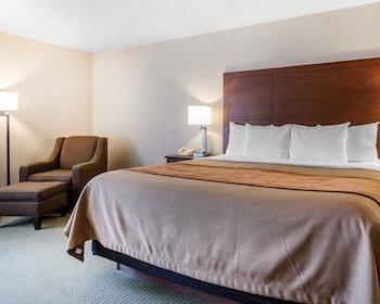 Standard Room, 1 King Bed, Non Smoking