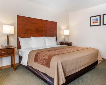 Room, 1 King Bed, Accessible, Non Smoking