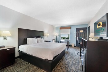 Standard Room, 1 King Bed, Non Smoking