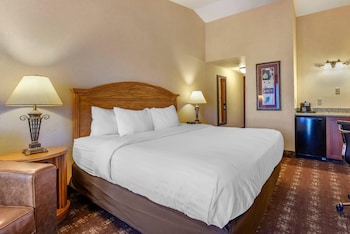 Suite, 1 King Bed, Accessible, Non Smoking