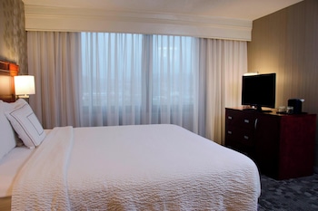 Studio, 1 King Bed with Sofa bed