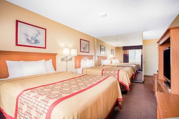 Room, Non Smoking, Refrigerator & Microwave