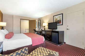 Standard Room, 1 King Bed, Accessible, Refrigerator & Microwave (Walk-in Shower)
