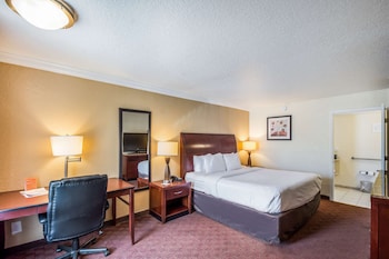 Standard Room, 1 King Bed, Non Smoking