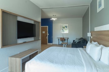 Suite, 1 King Bed with Sofa bed, Non Smoking