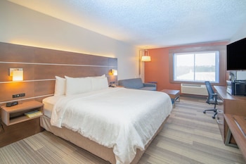 Standard Room, 1 King Bed with Sofa bed