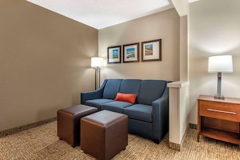 Suite, 1 King Bed with Sofa bed, Non Smoking