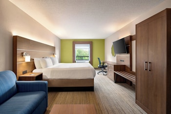 Suite, 1 King Bed with Sofa bed