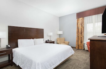 Room, 1 King Bed, Accessible, Non Smoking