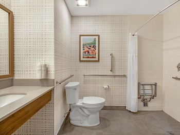 Room, 1 King Bed, Accessible (Roll-In Shower)