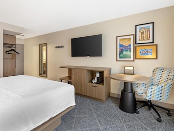 Room, 1 King Bed with Sofa bed (Shower Only)