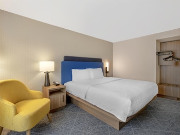 Room, 1 King Bed with Sofa bed (Shower Only)