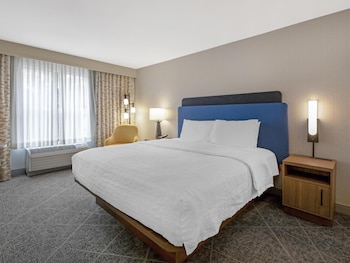 Room, 1 King Bed with Sofa bed (Shower Only)