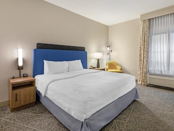 Room, 1 King Bed, Accessible (Roll-In Shower)
