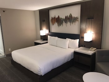 Room, 1 King Bed, Accessible, Bathtub