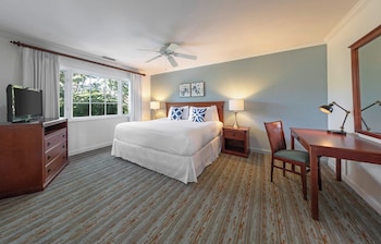 King Suite