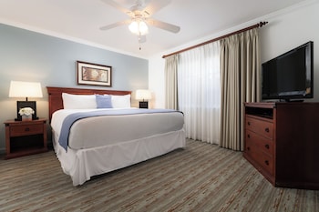 Dolphin Suite