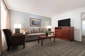 Dolphin Suite
