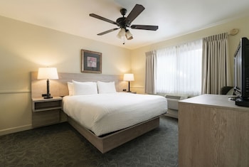 Harbor Pool Suite