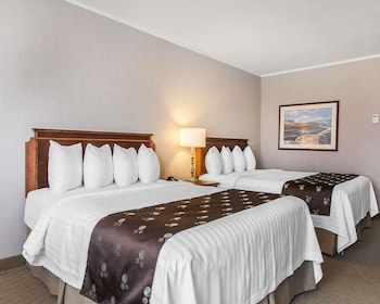 Room, 2 Queen Beds