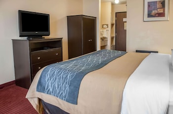 Standard Room, 1 King Bed, Non Smoking (First Floor)