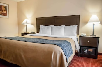 Standard Room, 1 King Bed, Non Smoking (First Floor)
