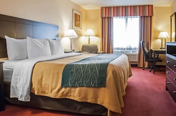 Standard Room, 1 King Bed, Non Smoking (First Floor)