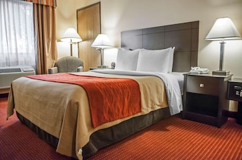 Room, 1 Queen Bed, Accessible, Non Smoking (Accessible Tub)