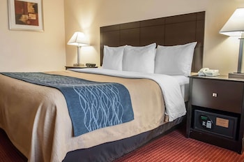 Standard Room, 1 King Bed, Non Smoking (First Floor)