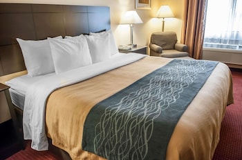 Standard Room, 1 King Bed, Non Smoking (First Floor)