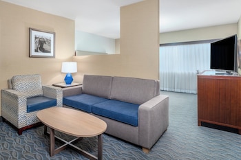 Junior Suite, 1 King Bed, Roll-in Shower (Mobility Accessible)