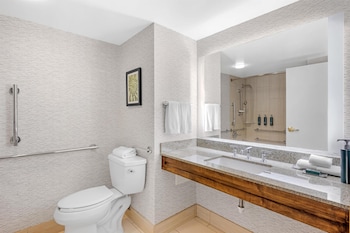 Room, Accessible, Bathtub