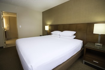 Suite, 1 King Bed (Ambassador)