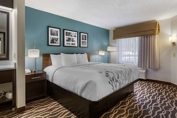 Standard Room, 1 King Bed, Non Smoking