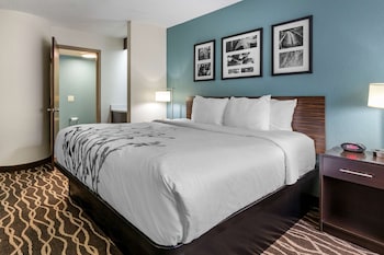 Standard Room, 1 King Bed, Non Smoking
