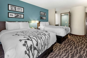 Standard Double Room, 2 Double Beds, Non Smoking