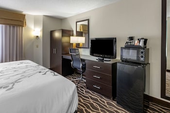 Standard Room, 1 King Bed, Non Smoking