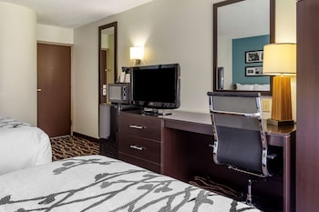 Standard Double Room, 2 Double Beds, Non Smoking