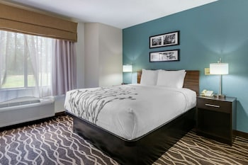 Room, 1 Queen Bed, Non Smoking