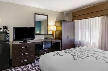 Room, 1 Queen Bed, Non Smoking