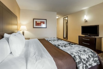 Standard Room, 1 King Bed, Non Smoking