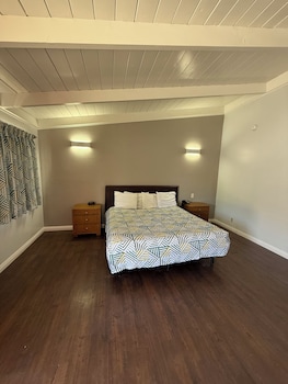 Studio, 1 King Bed, Non Smoking