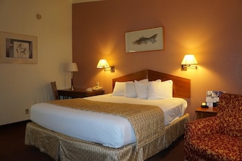 Room, 1 King Bed, Accessible, Non Smoking