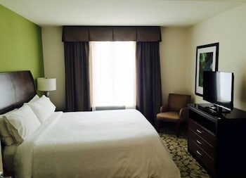 Suite, 1 King Bed