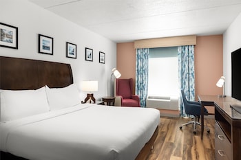 Room, 1 King Bed