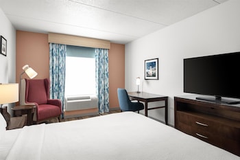 Room, 1 King Bed