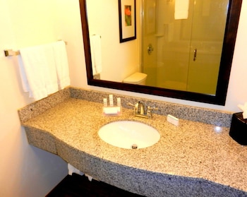 Room, 1 King Bed, Accessible