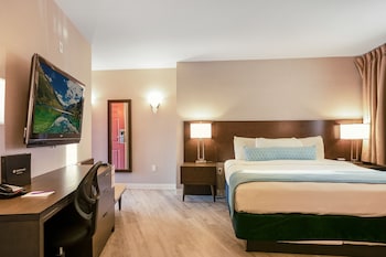 Room, 1 King Bed (Coast King)