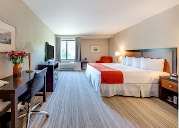 1 King Bed